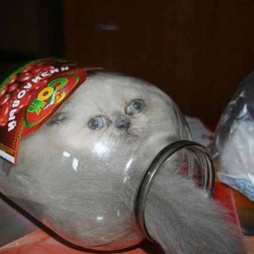 Стикер Мяу
