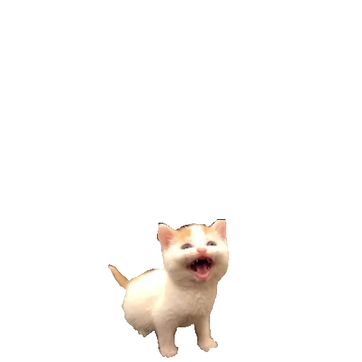 Стикер котики