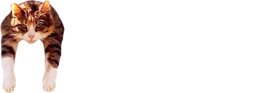 Стикер микро коты