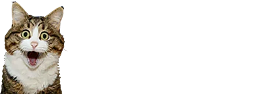 Стикер микро коты