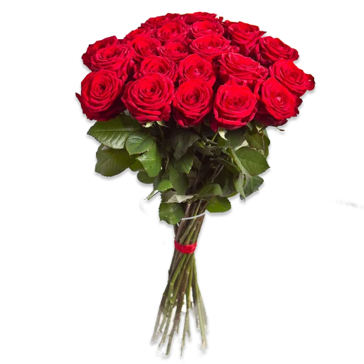 Стикер Цветы