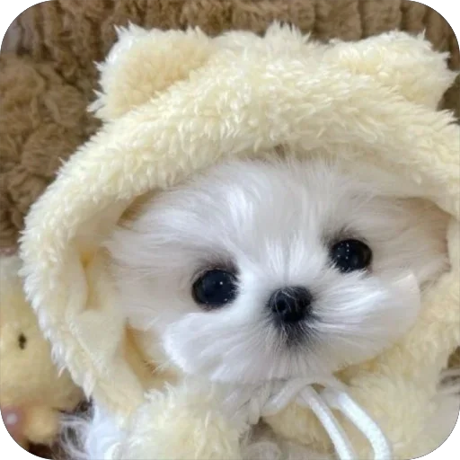 Стикер мило