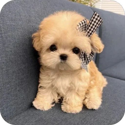 Стикер мило