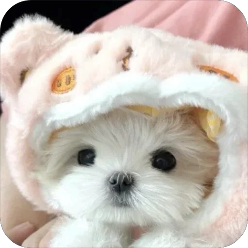 Стикер мило