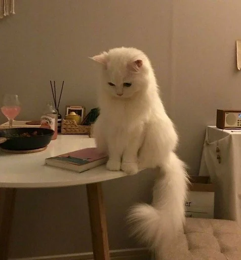 Стикер милота