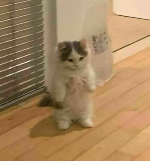 Стикер милота