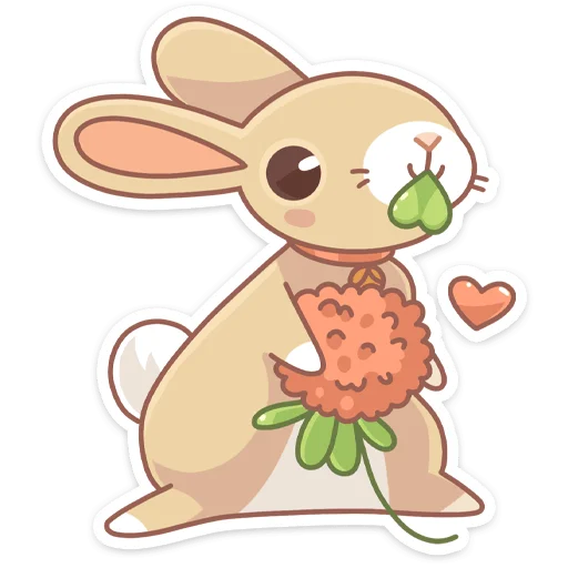 🐰