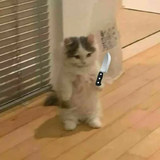 Стикер El pack de mininos definitivo