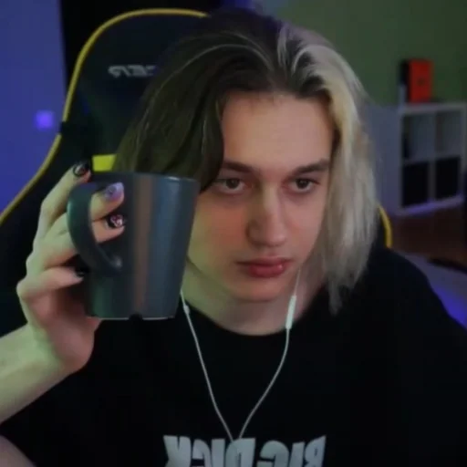 Стикер молдавская муха 2