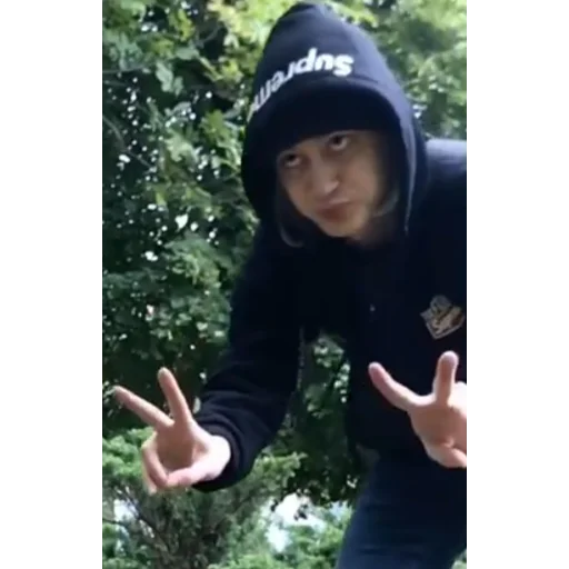 Стикер молдавская муха 2