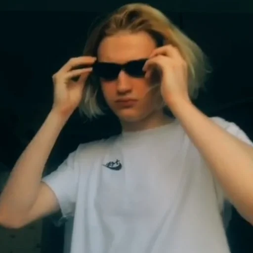 Стикер молдавская муха 2