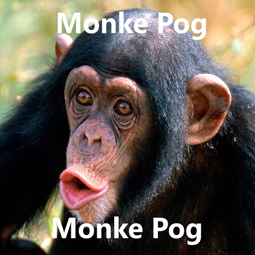 Стикер Monke
