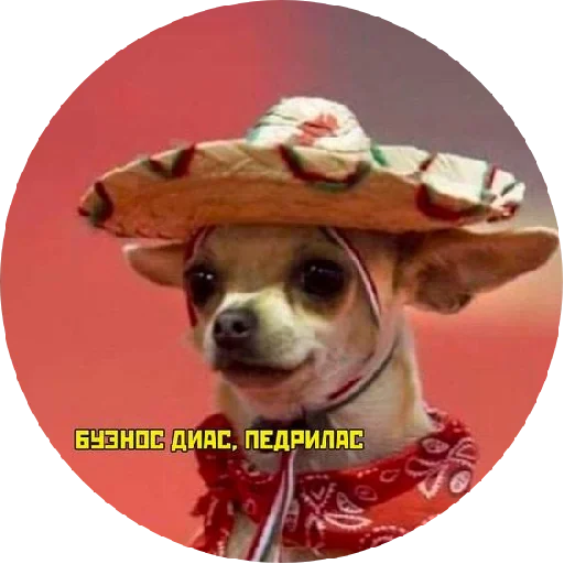 Стикер ᴍᴏᴏᴅ ʙʏ sᴍʙxᴠ