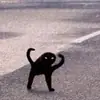 Стикер morrrrre