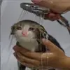 Стикер morrrrre