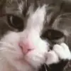 Стикер morrrrre