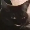Стикер morrrrre