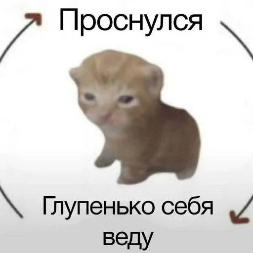Стикер cats.mos?