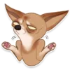 Стикер chihuahua