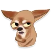 Стикер chihuahua