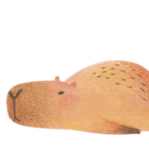Стикер Mr. Capybara