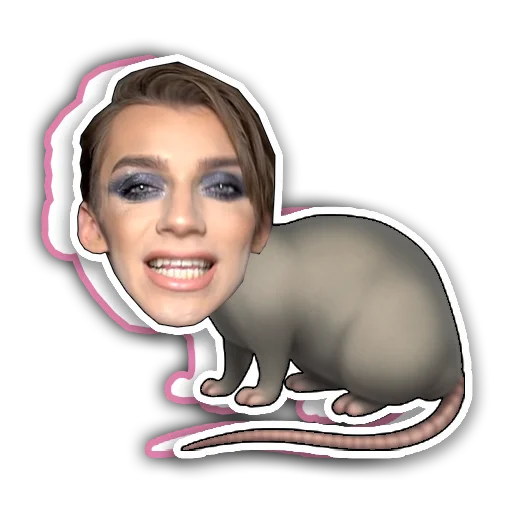 Стикер да я крыса