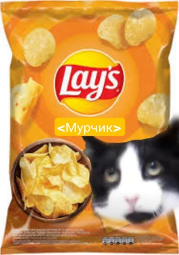 Стикер Мурчикостикеры