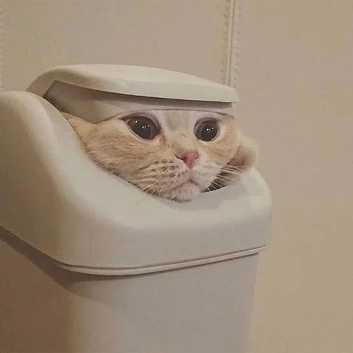 Стикер Мурлыки