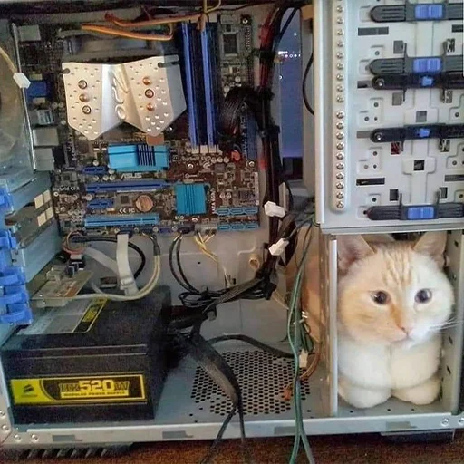 Стикер Мурлыки