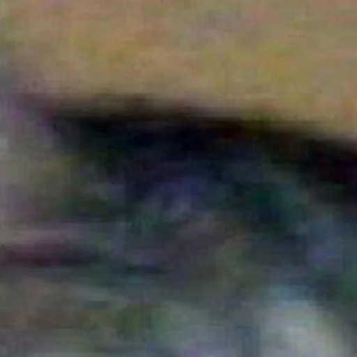 Стикер я тебя наебал