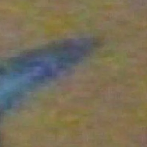 Стикер я тебя наебал