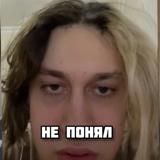 Стикер nekoglai