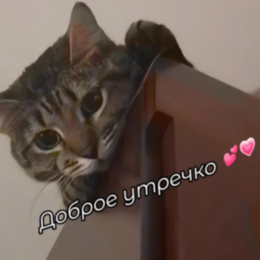 Стикер nekto_128