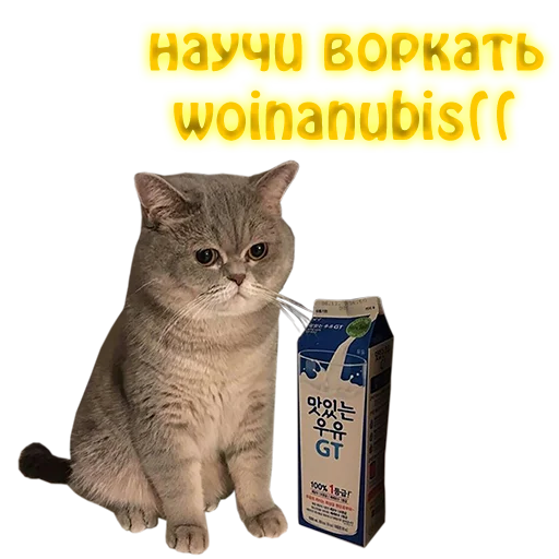 Стикер NelyubimovTeam