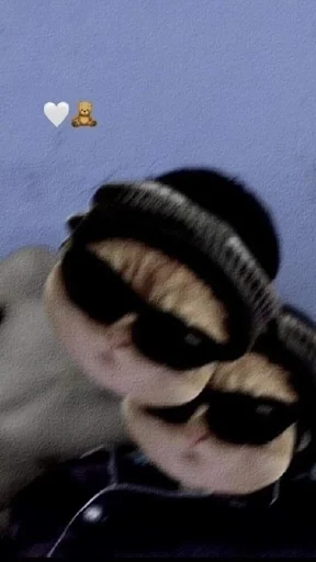 Стикер котики