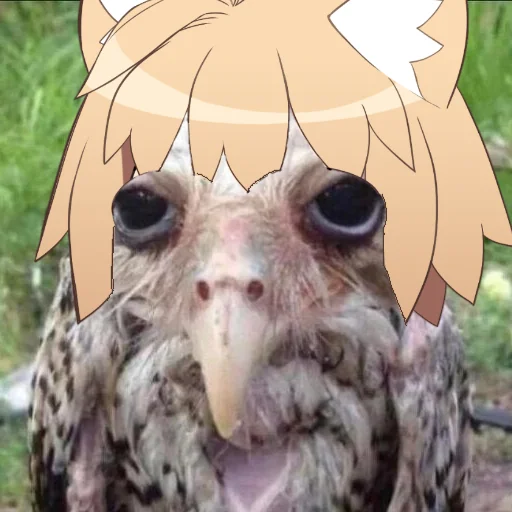 Стикер Неко арк