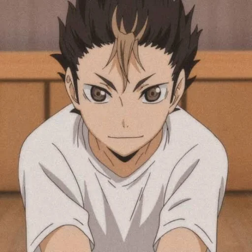 Стикер nishinoya 🏐
