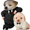 Эмодзи doggies