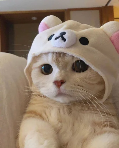 Стикер nuresen