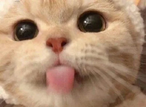 Стикер nuresen