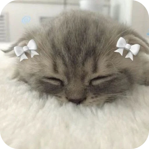 Стикер няшки