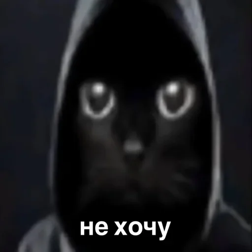 Стикер ОКАК