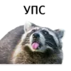 Стикер offensive_raccoons