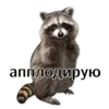 Стикер offensive_raccoons