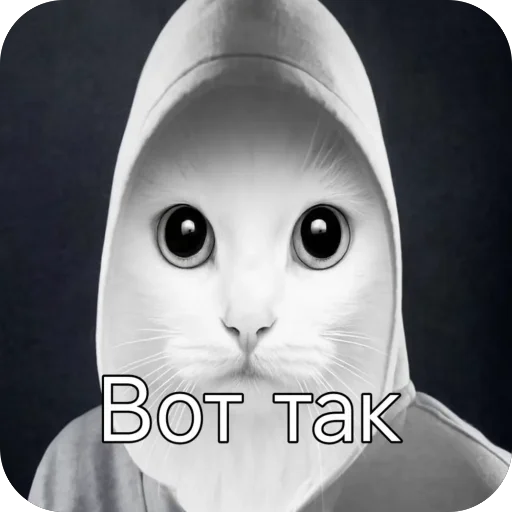 Стикер окаки