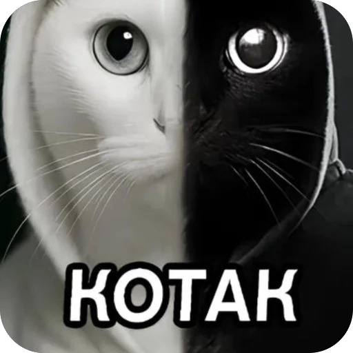 Стикер окаки