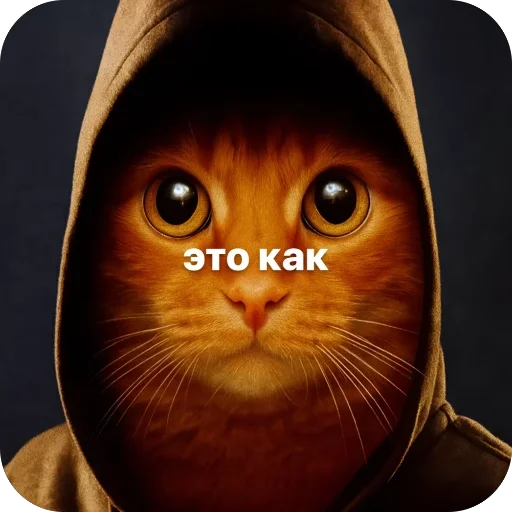 Стикер окаки