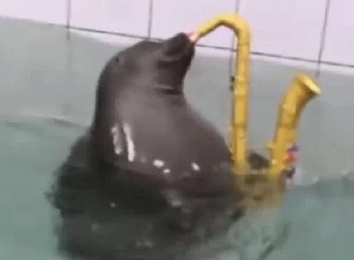 Стикер Отсос в рассрочку