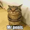 Стикер only mr penis