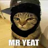 Стикер only mr penis